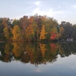 Fall trees along Rice Lake