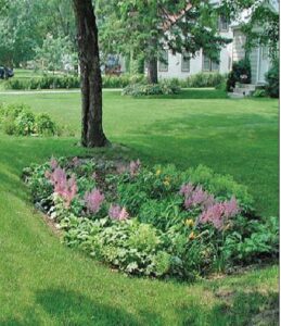 raingarden2-259×300