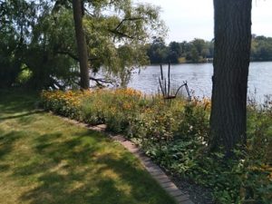 Rice Lake resident's shoreline buffer